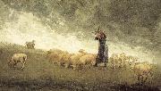 Shepherdess still control the sheep